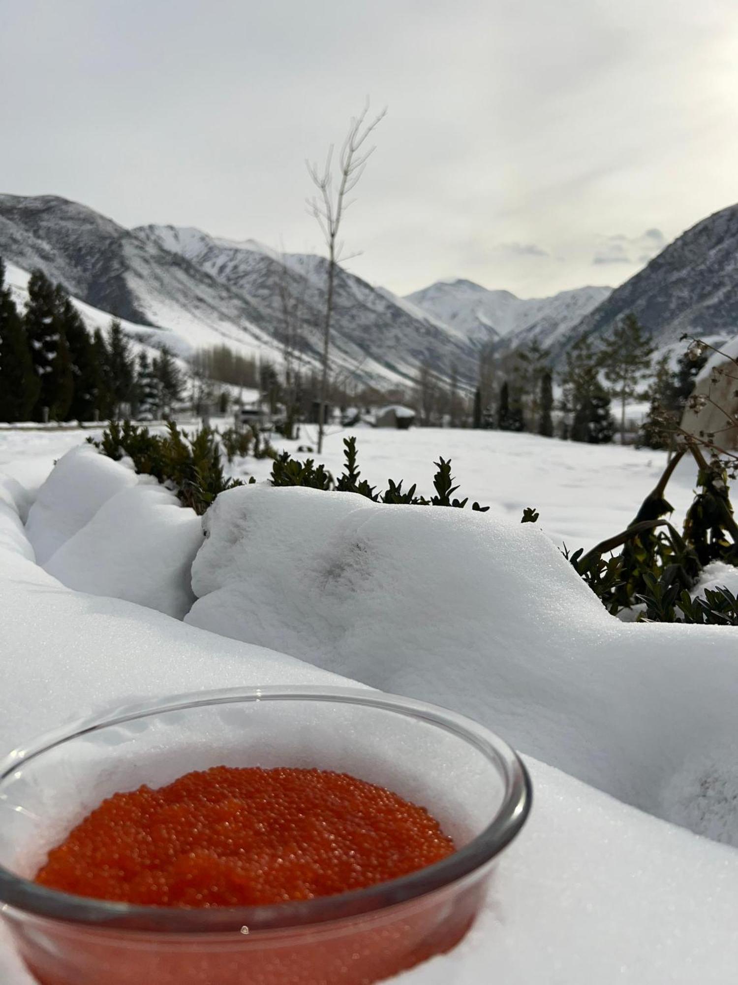 Mountain View Hot Spring Resort Biskek Kültér fotó